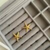 Tidal Star Earrings