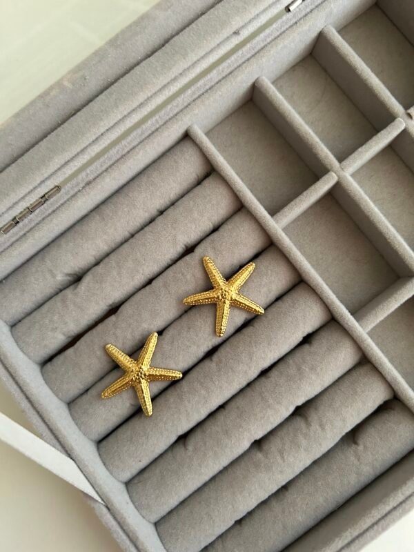 IMG_2308 Tidal Star Earrings