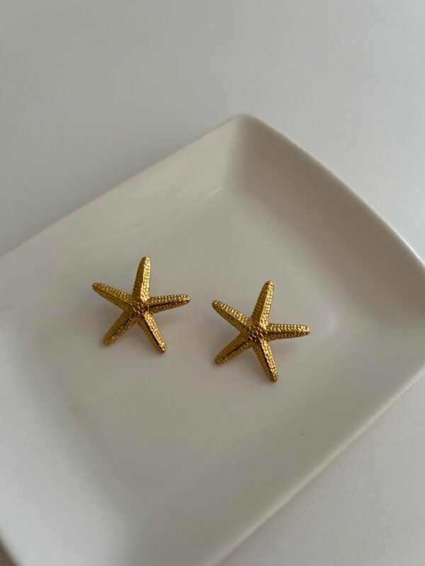 IMG_2309 Tidal Star Earrings