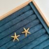Tidal Star Earrings