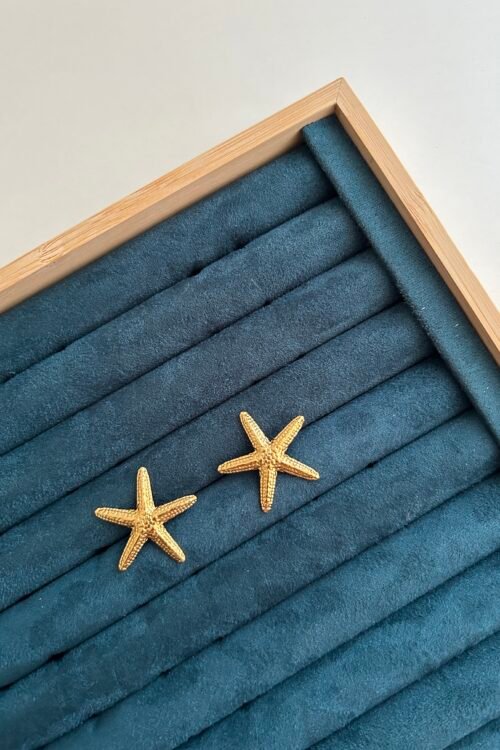 Tidal Star Earrings