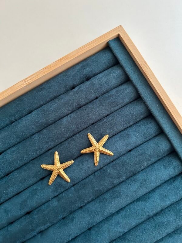 IMG_2310 Tidal Star Earrings