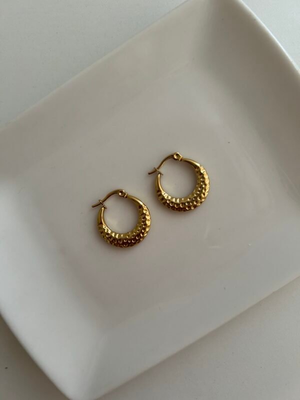IMG_2318 Punto Hoops